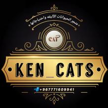 متجر ken cats